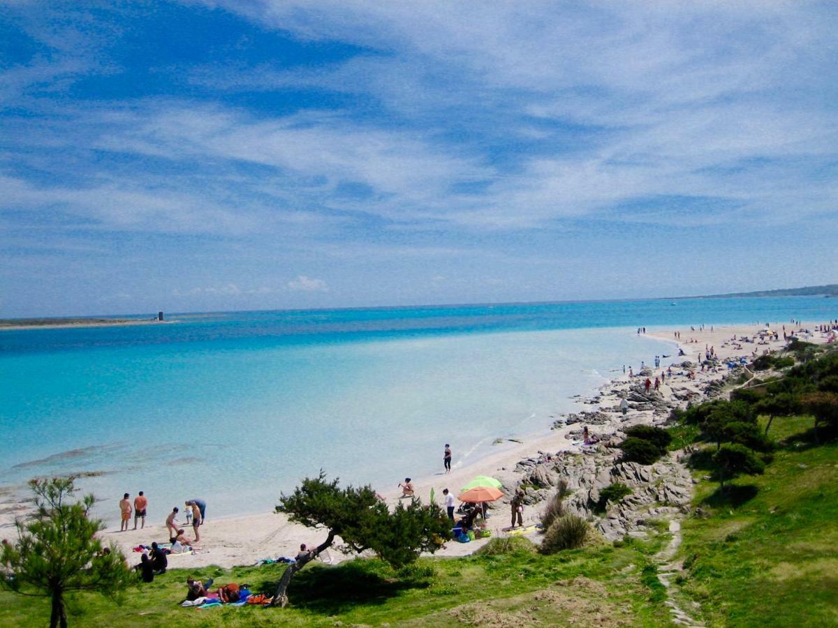 Apartament Lucia 150mt From Beach Apartment